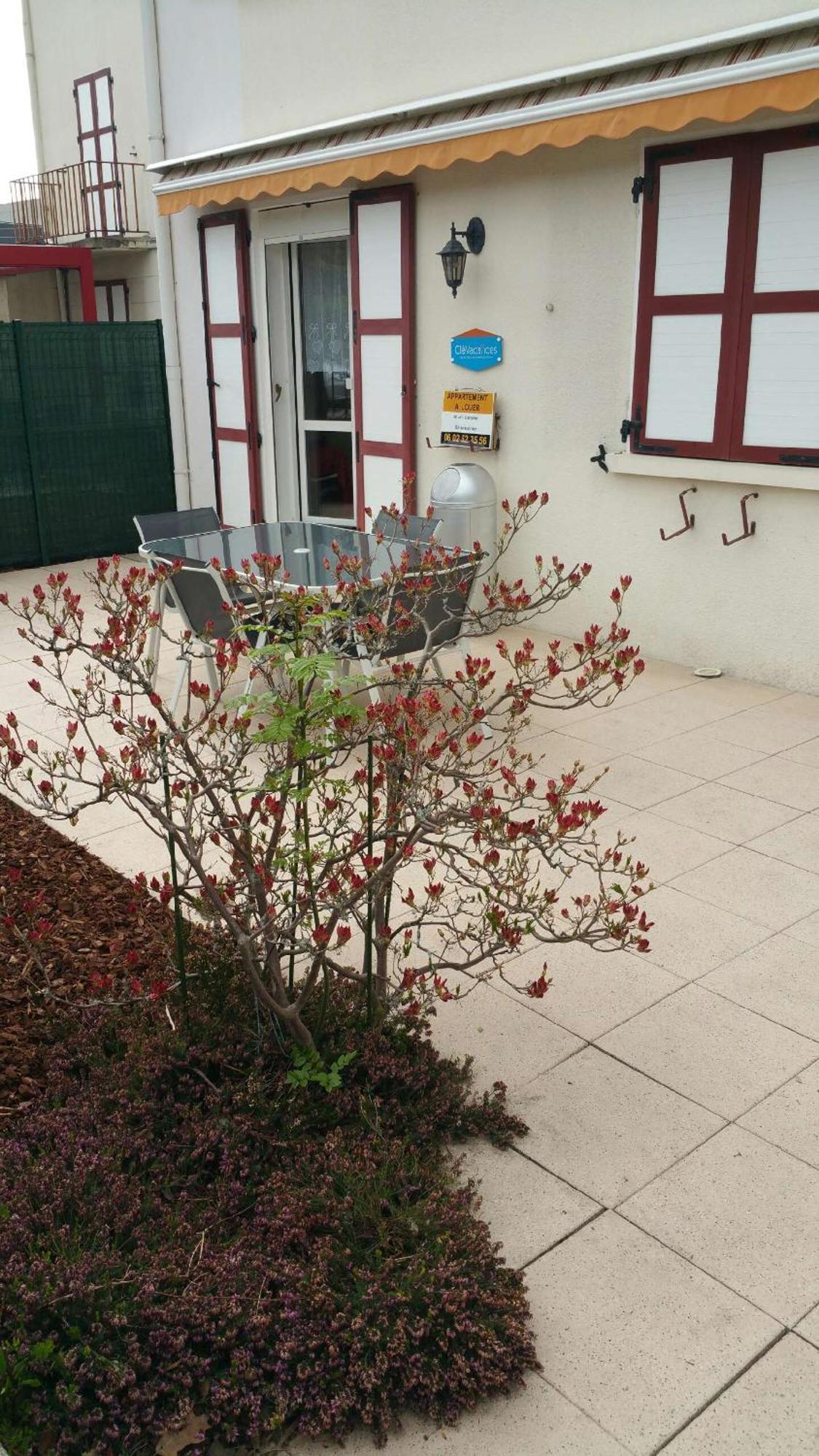 Appartement Le Meix Du 3 Etoiles - 200 M Du - 50 M Navette Gérardmer